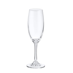 51154-Classic Champagne Flute Glass 7.4 Ounce - 72/Case