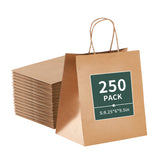 51363-Paper bag with Handle Bulk, Small, 250/Case