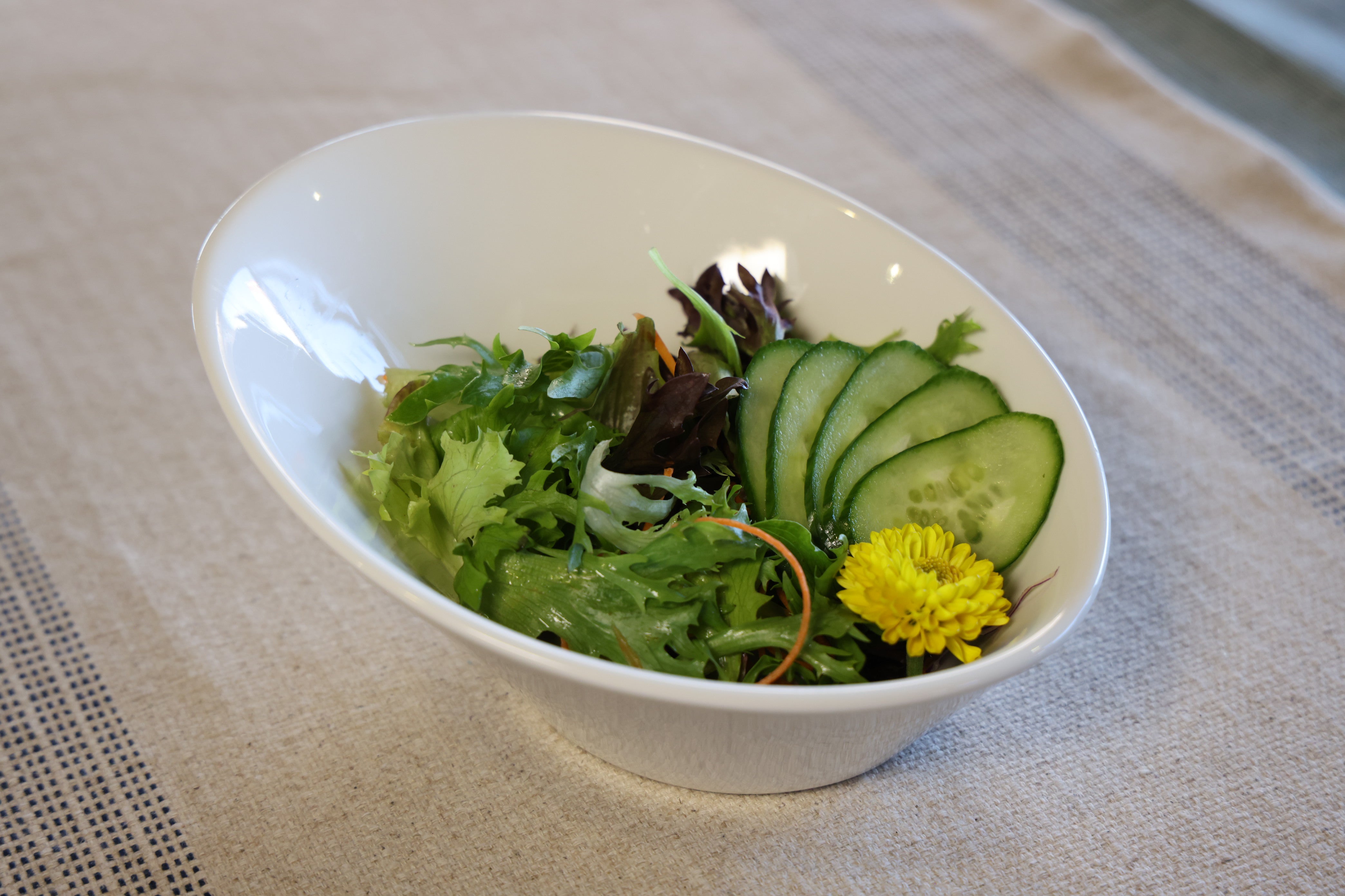 51120-Ceramic Modern Slant Bowl-24/Case