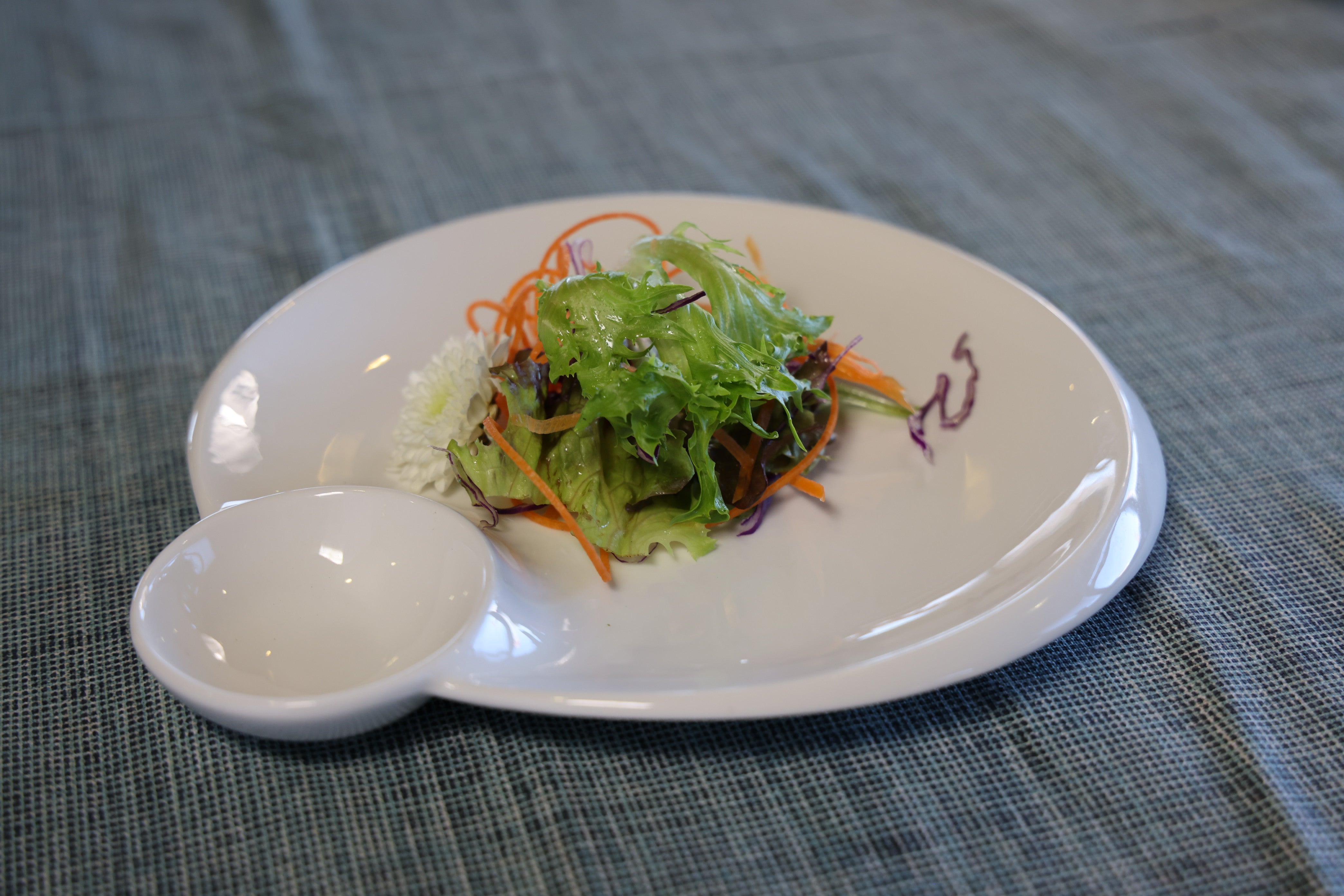 51107-9"Ceramic Dumpling/Sushi/Sashimi Plates with Sauce Dish-36/Case